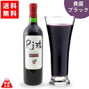 【送料無料】 PJ珠 貴腐ブラック 720ml 山梨県産 ぶどう ジュース 山ぶどう フレアフードファクトリー