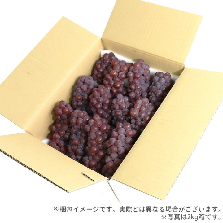 楽天市場】【送料無料】デラウェア 2kg箱 山梨県産 ぶどう 大人気 定番 