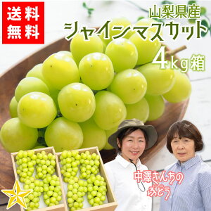 yz RYԂǂ VC}XJbg 4kg(6`10[) ṼuhE R AvXsY Yn _ƒ