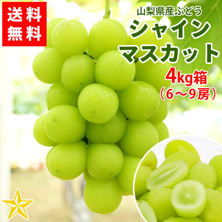楽天市場】【送料無料】シャインマスカット 4kg箱 (6〜9房) 山梨県産 