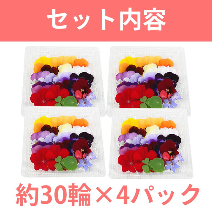 972円 販売 食用花 食べる花 エディブルフラワー ゼラニウム ナスタチウム 詰め合わせ 約輪