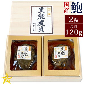 YVR鸎ϊL 2 (v120g) Mtg ̎ϊL R  ăMtg