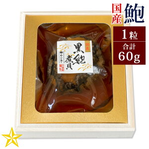 YVR鸎ϊL 1 (v60g) Mtg ̎ϊL R  ăMtg