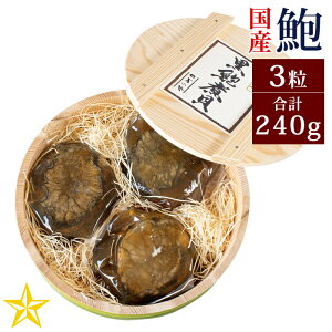Y Ml 鸎ϊL 3 (v240g) Mtg ̎ϊL R  ăMtg