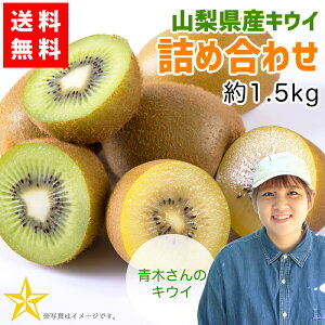 yz RY LEC lߍ킹 1.5kg ӂ[ _ƒ