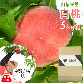 【送料無料】 桃 3kg箱 (9〜11玉) 中澤さんの桃 山梨県 南アルプス市産 産地直送 農家直送
