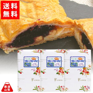 【送料無料】 ブルーベリーパイ ショート 3個セット 八ヶ岳 つぶつぶ ブルーベリー 手づくりパイ パイの家 エム・ワン お中元 夏ギフト