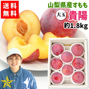 �y���������z �X���� �M�z ��1.8kg ��� 7�`8�� �R���� ��A���v�X�s�Y ���̂� �ʔ� �_�ƒ��� �������ӂ��[�� �N�[���֔z��