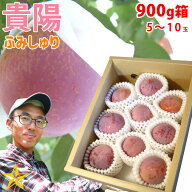 送料無料 すもも 貴陽 900g箱 (約5〜10玉) 山梨県 八代産 農家直送 ふみしゅり