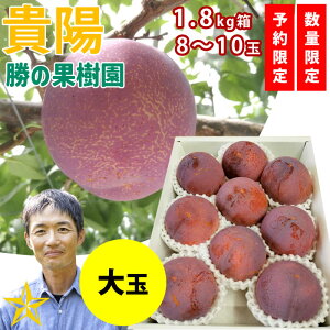 �y���������z �X���� �M�z ���̋M�z 1.8kg ��� 8�`10�� �R���� ��A���v�X�s�Y ���̂� �ʔ� �_�ƒ��� ���̉ʎ���