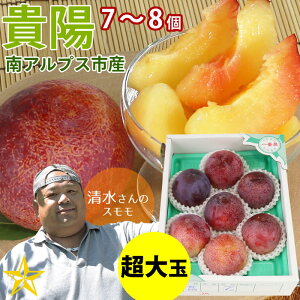 �y���������z �M�z ����� 7�`8�� (1�� 215�`250g) �R���� �R���� ��A���v�X�s�Y ���n ������ ���̂� �ʔ� �_�ƒ���