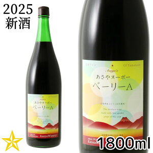 VC Rk[{[ ԃC h  bBC k[{[ x[[A 2025 1800ml ꏡr (113)
