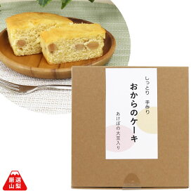 おからのケーキ 170g 国産 希少豆 あけぼの大豆 なめらか しっとり