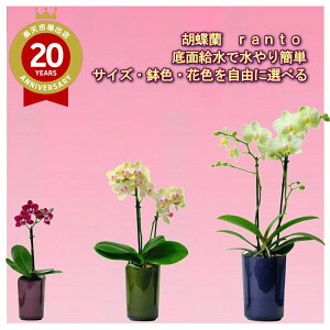 CeAɓKȌӒ ranto ʋ ~fB S M L j ړ]j JXj ACj J@j JƏj Nj ij ސEj a җ Ď  j LO 