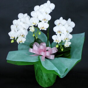 莝z `[^[ ~fBӒ 3{  j ړ]j JXj ACj J@j JƏj Nj ij ސEj Ij a җ Ď   䋟  