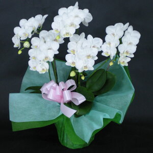 莝z `[^[ ~fBӒ 5{  j ړ]j JXj ACj J@j JƏj Nj ij ސEj Ij a җ Ď   䋟  