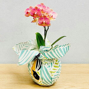 ~jӒ yukata de 1{ sN 3 Ŗm j ړ]j JXj ACj J@j JƏj Nj ij ސEj a җ Ď  j LO 