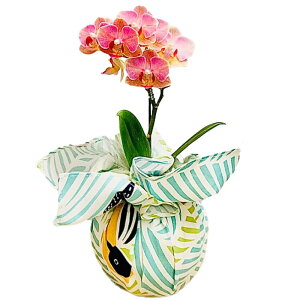 ~jӒ yukata de 1{ sN 3 Ŗm j ړ]j JXj ACj J@j JƏj Nj ij ސEj a җ Ď  j LO 