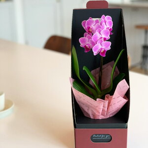 ~jӒ 1{ sN F CG[ ԐFIׂ ANA|bg 2.5 2WAYMtg{bNX j ړ]j JXj ACj J@j JƏj Nj ij ސEj a