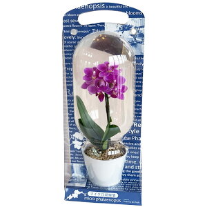 ~jӒ 1{ sN JvZ }CNJvZ 2.5 j ړ]j JXj ACj J@j JƏj Nj ij ސEj a җ Ď  j  