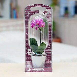 ~jӒ 1{ sN JvZ }CNJvZ 2.5 j ړ]j JXj ACj J@j JƏj Nj ij ސEj a җ Ď  j  