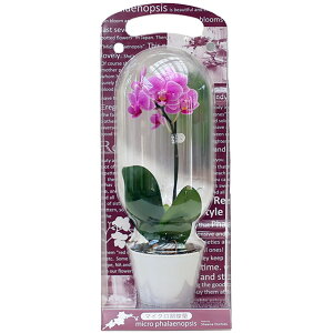 ~jӒ 1{ sN JvZ }CNJvZ 2.5 j ړ]j JXj ACj J@j JƏj Nj ij ސEj a җ Ď  j  