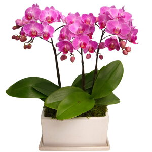 Ӓ ~fB pem 3{ sN j ړ]j JXj ACj J@j JƏj Nj ij ސEj a җ Ď  j LO    