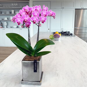 Ӓ ~fB N[ 2{ sN 4 M j ړ]j JXj ACj J@j JƏj Nj ij ސEj a җ Ď  j LO  