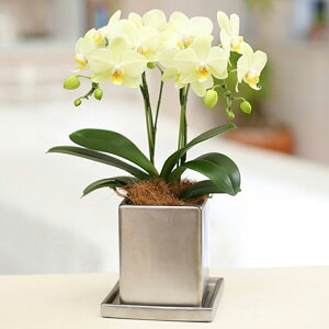 Ӓ ~fB N[ 2{ F CG[ 4 M j ړ]j JXj ACj J@j JƏj Nj ij ސEj a җ Ď  j   