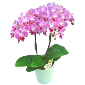 Ӓ ~fB 2{ sN j ړ]j JXj ACj J@j JƏj Nj ij ސEj a җ Ď  j LO     Mtg