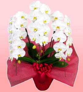 莝z `[^[ ֌nӒ 3{  j ړ]j JXj ACj J@j JƏj Nj ij ސEj Ij a җ Ď   䋟  