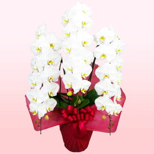 莝z `[^[ ֌nӒ 3{  j ړ]j JXj ACj J@j JƏj Nj ij ސEj Ij a җ Ď   䋟  