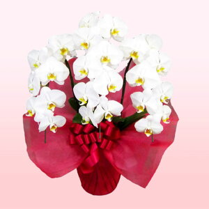 莝z `[^[ ֌nӒ 3{  j ړ]j JXj ACj J@j JƏj Nj ij ސEj Ij a җ Ď   䋟  