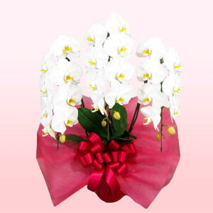 莝z `[^[ ֌nӒ 3{  j ړ]j JXj ACj J@j JƏj Nj ij ސEj Ij a җ Ď   䋟  