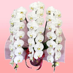 莝z `[^[ ֌nӒ 3{  j ړ]j JXj ACj J@j JƏj Nj ij ސEj Ij a җ Ď   䋟  