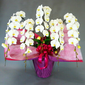 莝z `[^[ ֌nӒ 5{  j ړ]j JXj ACj J@j JƏj Nj ij ސEj Ij a җ Ď   䋟  