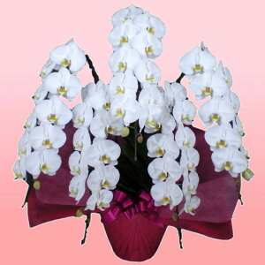 莝z `[^[ ֌nӒ 5{  j ړ]j JXj ACj J@j JƏj Nj ij ސEj Ij a җ Ď   䋟  