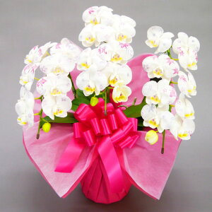 ϗ ~fBӒ 3{  G߂̕ 21֑O j ړ]j JXj ACj J@j JƏj Nj ij ސEj Ij a җ Ď   䋟 