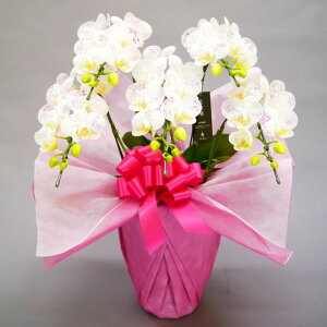 ϗ ~fBӒ 5{  G߂̕ 35֑O j ړ]j JXj ACj J@j JƏj Nj ij ސEj Ij a җ Ď   䋟 