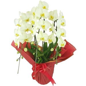 Ӓ S[fA| 3{ CG[ j ړ]j JXj ACj J@j JƏj Nj ij ސEj Ij a җ Ď   䋟   