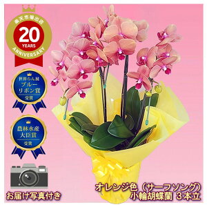 ~fB Ӓ 3{ T[t\O IWF j ړ]j JXj ACj J@j JƏj Nj ij ސEj Ij a җ Ď   䋟 Yn 