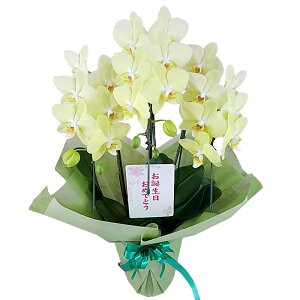 Ӓ ~fB CCg 3{ a߂łƂ j ړ]j JXj ACj J@j JƏj Nj ij ސEj Ij a җ Ď   䋟 Y