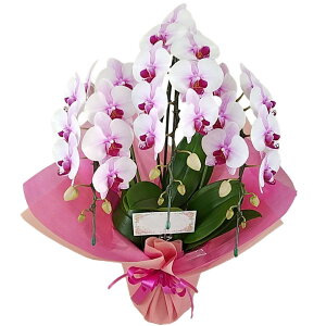 Ӓ ~fB TNq 3{ g  ԃbv j ړ]j JXj ACj J@j JƏj Nj ij ސEj Ij a җ Ď   䋟 Yn