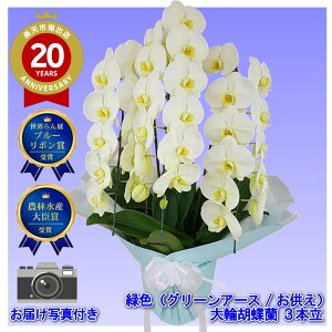 yr[v[gIzӒ 3{ O[A[X CG[ O[     ݉ V~ ~ ~ { ފ @ d  m   蕨 Y