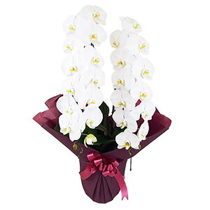 Ӓ 2{   j ړ]j JXj ACj J@j JƏj Nj ij ސEj Ij a җ Ď   䋟    t[Mtg  