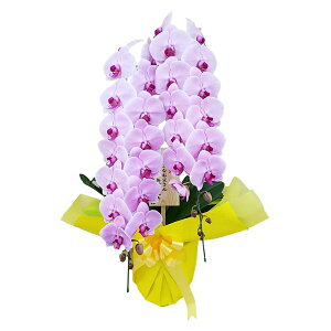 Ӓ 2{  sN j ړ]j JXj ACj J@j JƏj Nj ij ސEj Ij a җ Ď   䋟    t[Mtg 