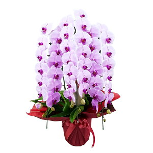 Ӓ 3{  sN j ړ]j JXj ACj J@j JƏj Nj ij ސEj Ij a җ Ď   䋟    t[Mtg 
