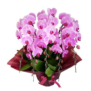 Ӓ 5{  sN j ړ]j JXj ACj J@j JƏj Nj ij ސEj Ij a җ Ď   䋟    t[Mtg 