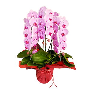 Ӓ 3{  sN j ړ]j JXj ACj J@j JƏj Nj ij ސEj Ij a җ Ď   䋟    t[Mtg 