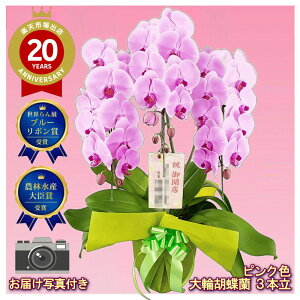 Ӓ 3{ 25ց`32 sNF Xcm